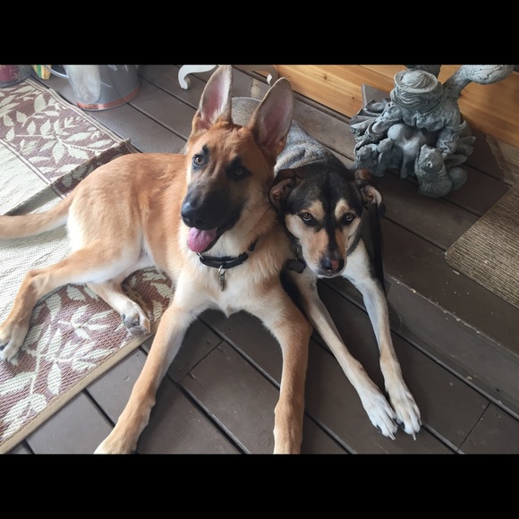 LOVE - Picture 6 of 8